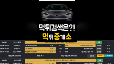 테슬라(TESLA) - 먹튀사이트