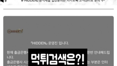 히든(HIDDEN)