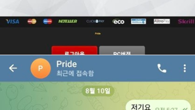 프라이드(PRIDE)