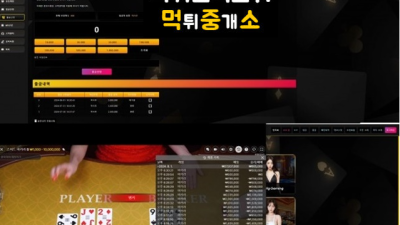 보라카지노(BORA CASINO)